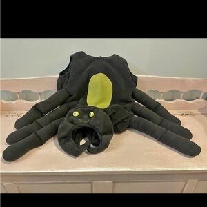 Pottery barn spider costume